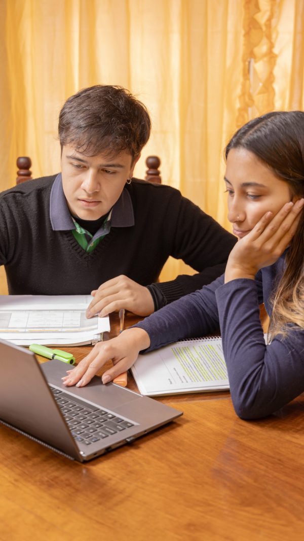 A girl and a boy studying together.